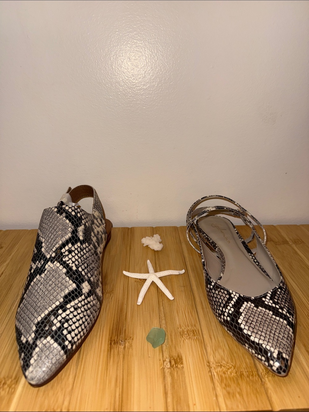 Matching Snake-Print Pointed Toe Flats and Loafers- Black/ Grey